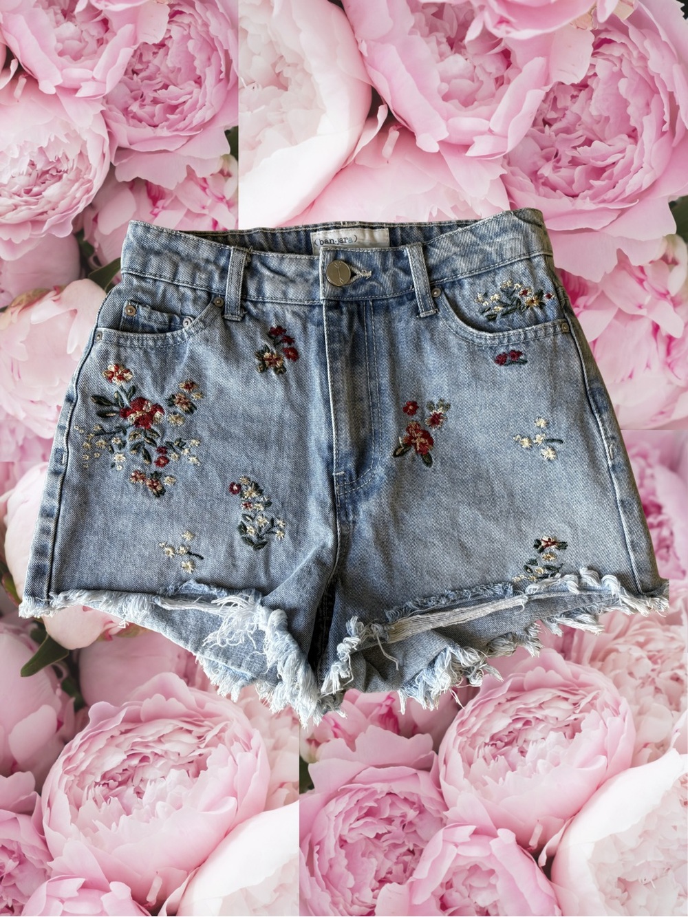 Banjara Embroidery Jean Shorts